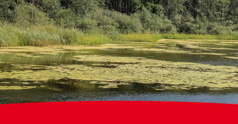 A More Ecological Pre-treatment Method Header